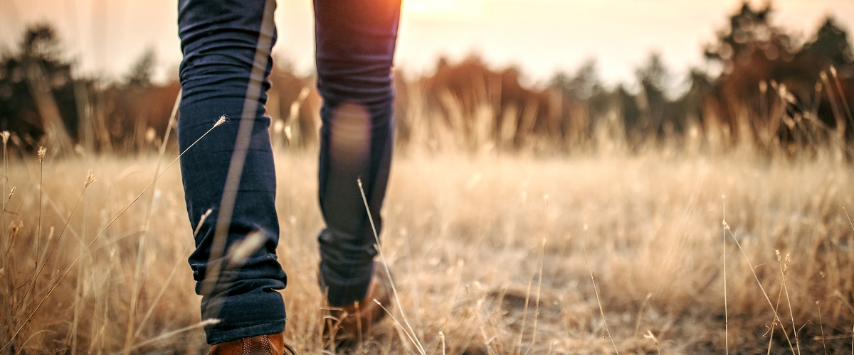 Man wandelt in de natuur